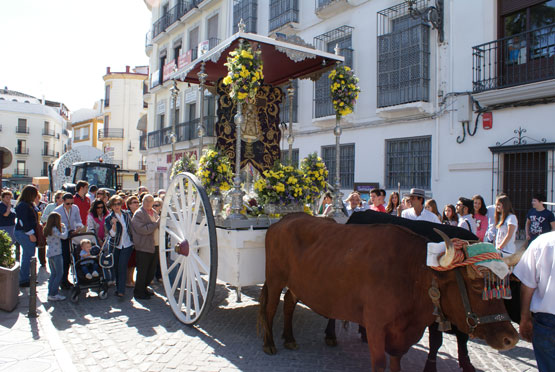 Camino de las Arenas