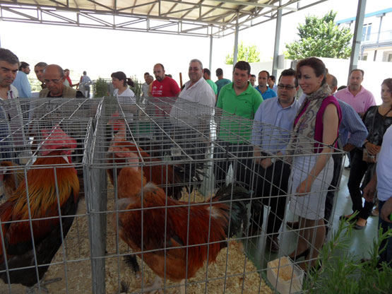 Analizan las posibilidades del cap贸n andaluz para diversificar la producci贸n agroganadera en Priego