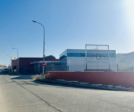 citta