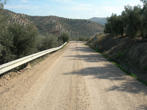 Camino