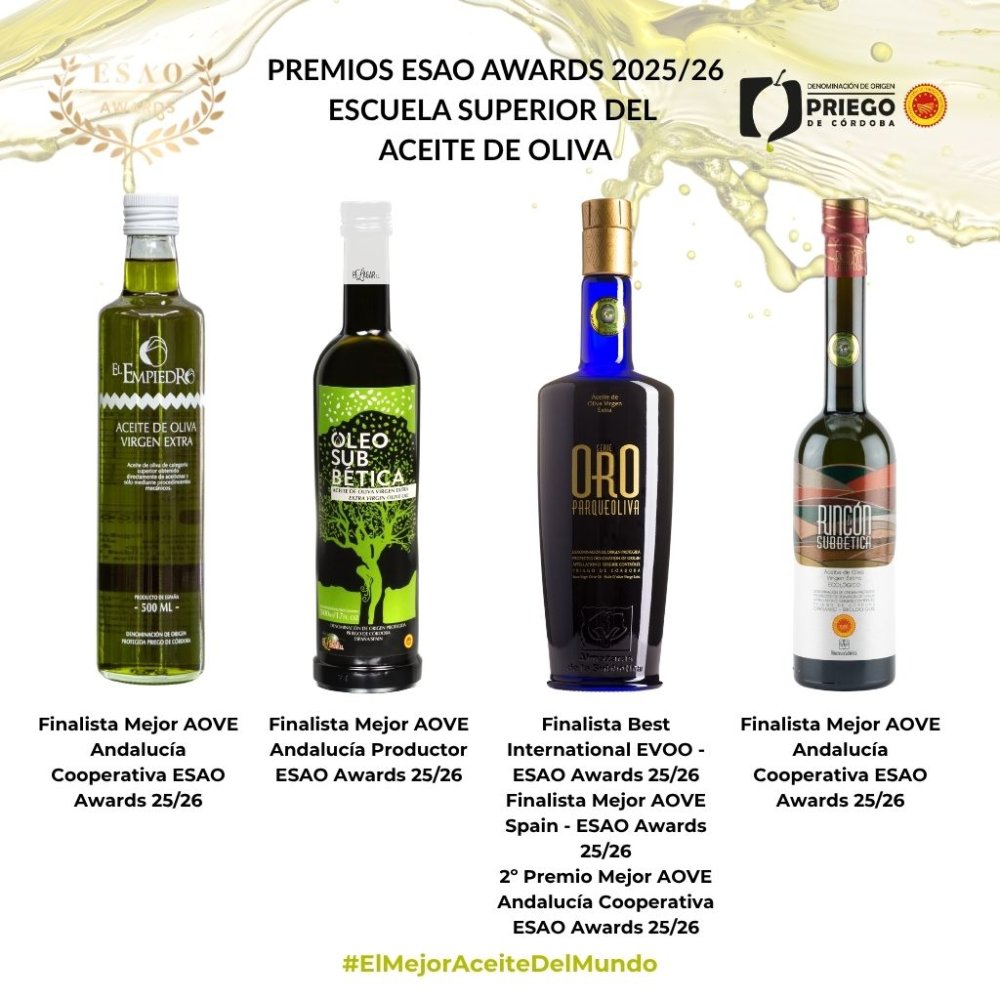 Imagen Los AOVES amparados bajo la D.O.P. Priego de C贸rdoba reciben diferentes distinciones a la calidad en Valencia.