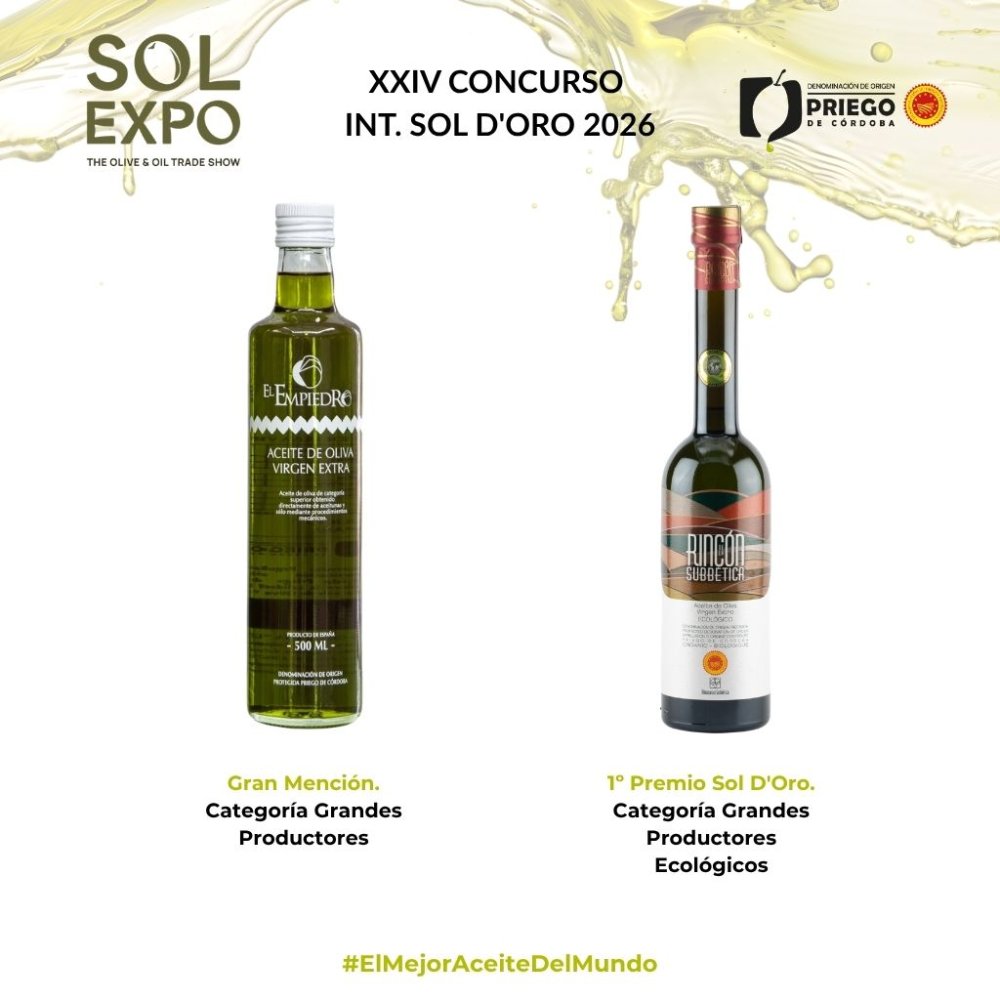Imagen El AOVE de la DOP Priego de C贸rdoba triunfa en el prestigioso certamen Sol d鈥橭ro 2026