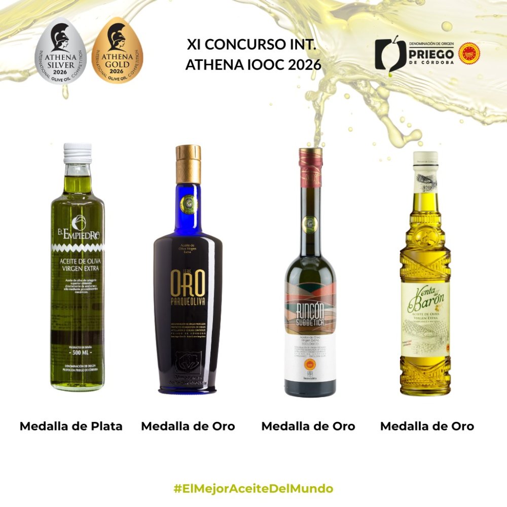 Imagen Los aceites de la DOP Priego de Córdoba triunfan en el prestigioso concurso "Athena IOOC" de Grecia
