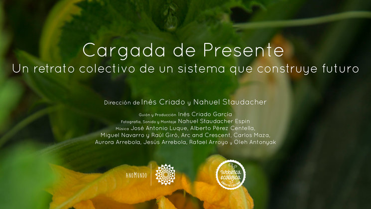 Imagen DIEZ RAZONES PARA HACER UNA APORTACIÓN AL DOCUMENTAL \